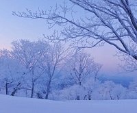 吉林长春斯慕圈吉林延边四平通化白城绳艺KBSP爱好者社群